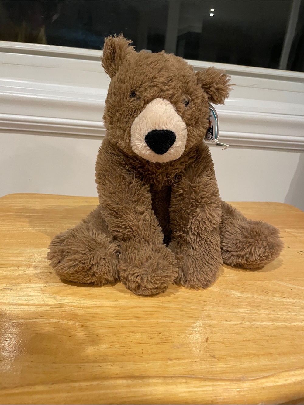 RETIRED JELLYCAT Medium Woody Bear